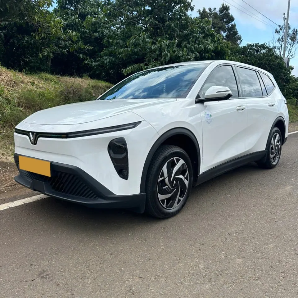 Xe điện VinFast Limo Green của Taxi Minh Vân bên vườn cà phê Di Linh